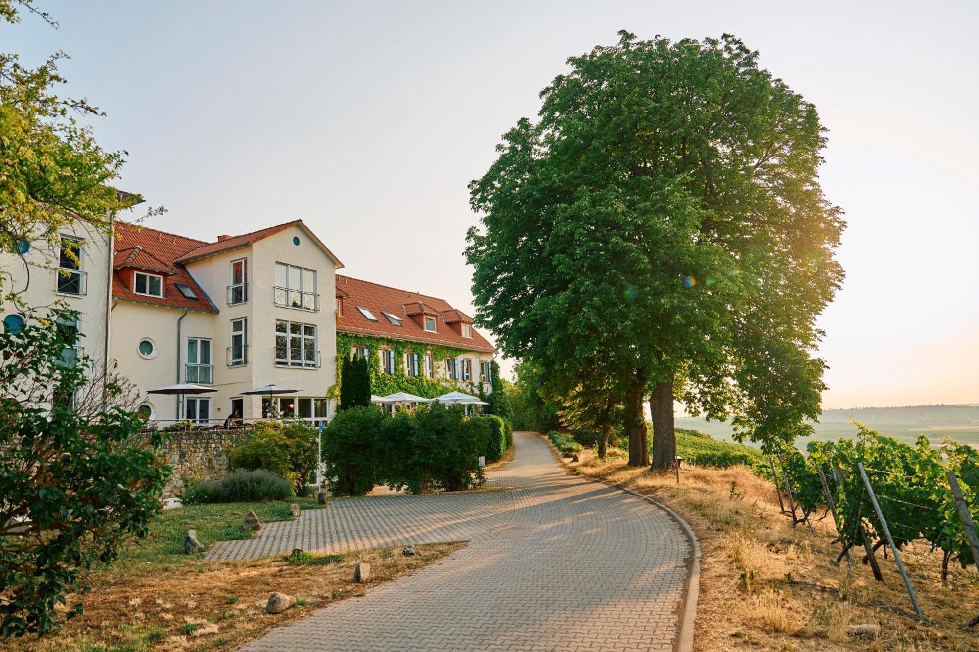 Hofgut Wissberg - Das Weinberghotel Sankt Johann  Exterior foto
